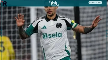 موعد مباراة نيوكاسل يونايتد ضد برايتون في الدوري الإنجليزي والقنوات الناقلة